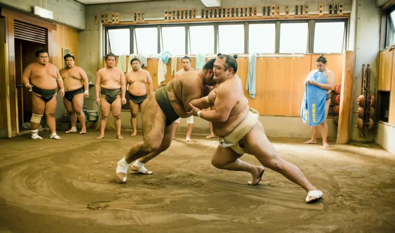 heya écurie sumo
