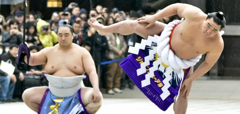 sumo japon