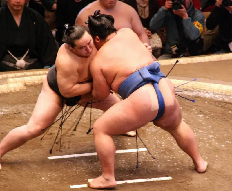 sumo lutte japonaise