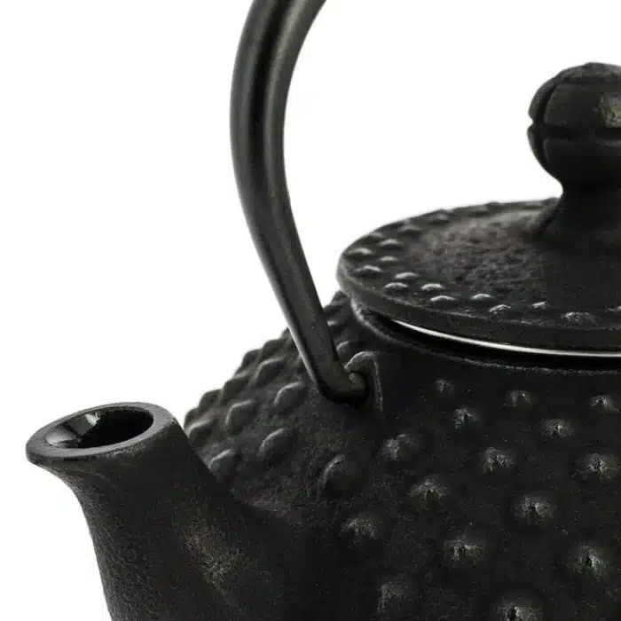 Théière Japonaise Fonte Iwachu Noire 350 ml – Image 2